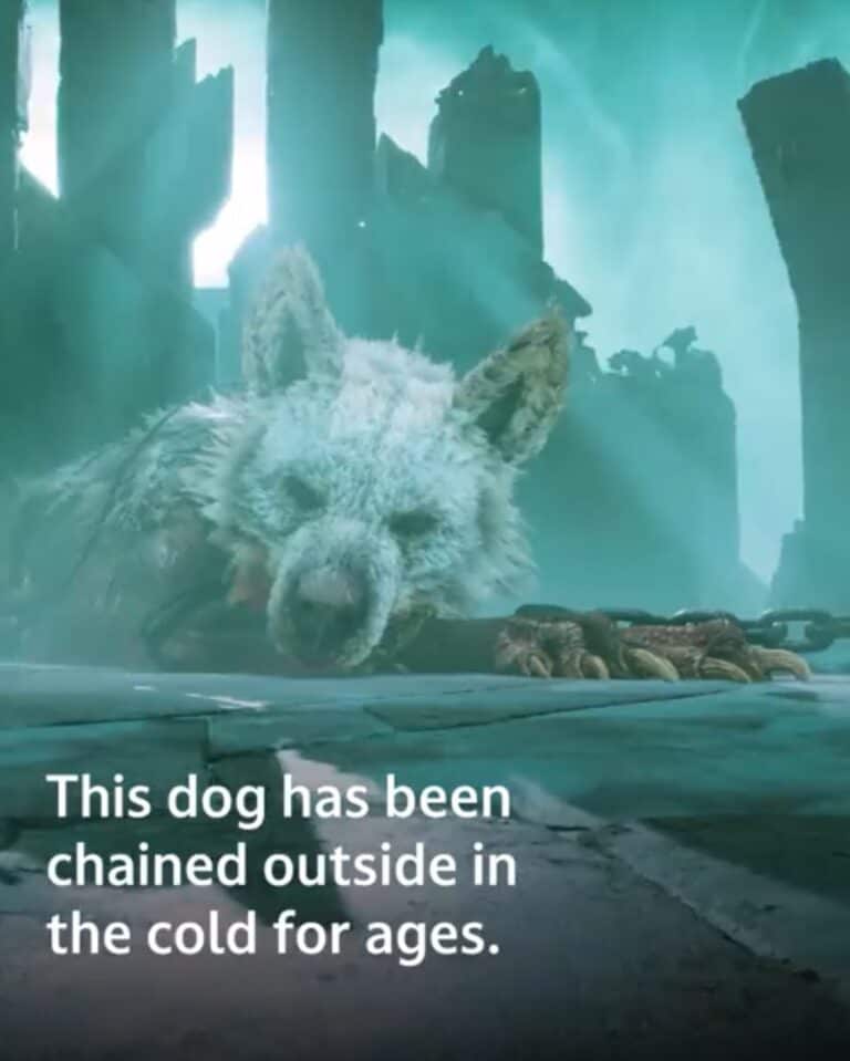 图片[3]-动物保护组织：狗狗在游戏里待遇很惨，要求出无动物受伤版的 GOW:Ragnarok-弦外音